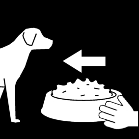 hond eten geven